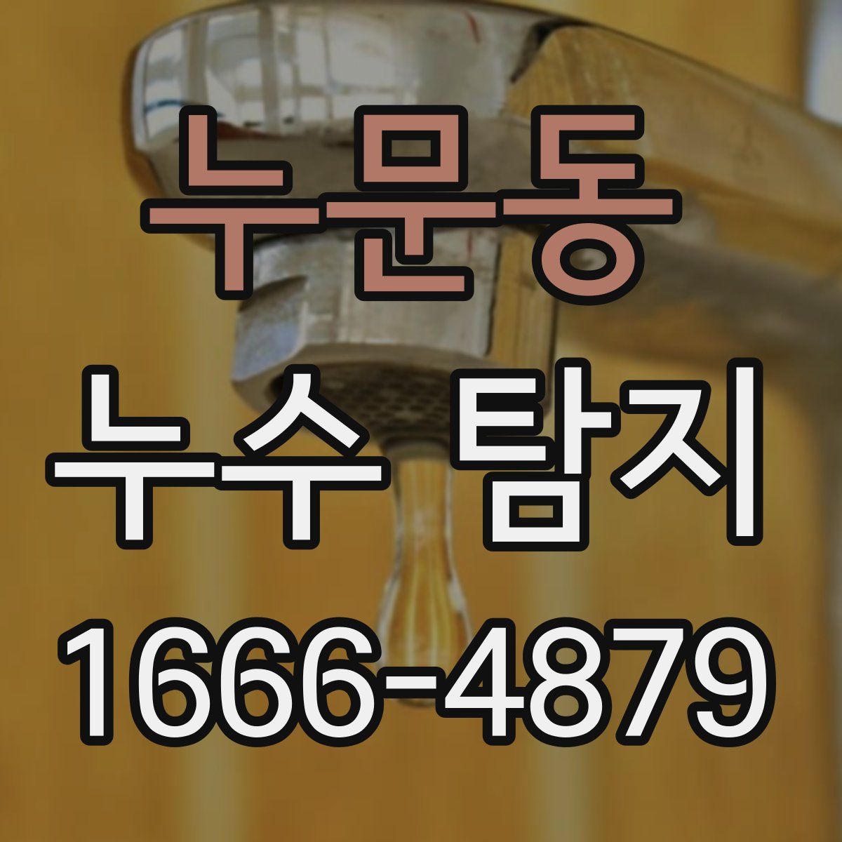 누문동 누수 탐지