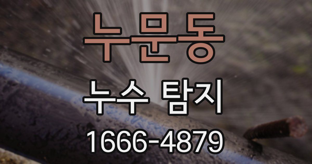 누문동 누수 탐지