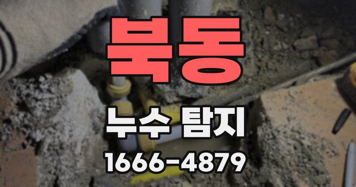 북동 누수 탐지