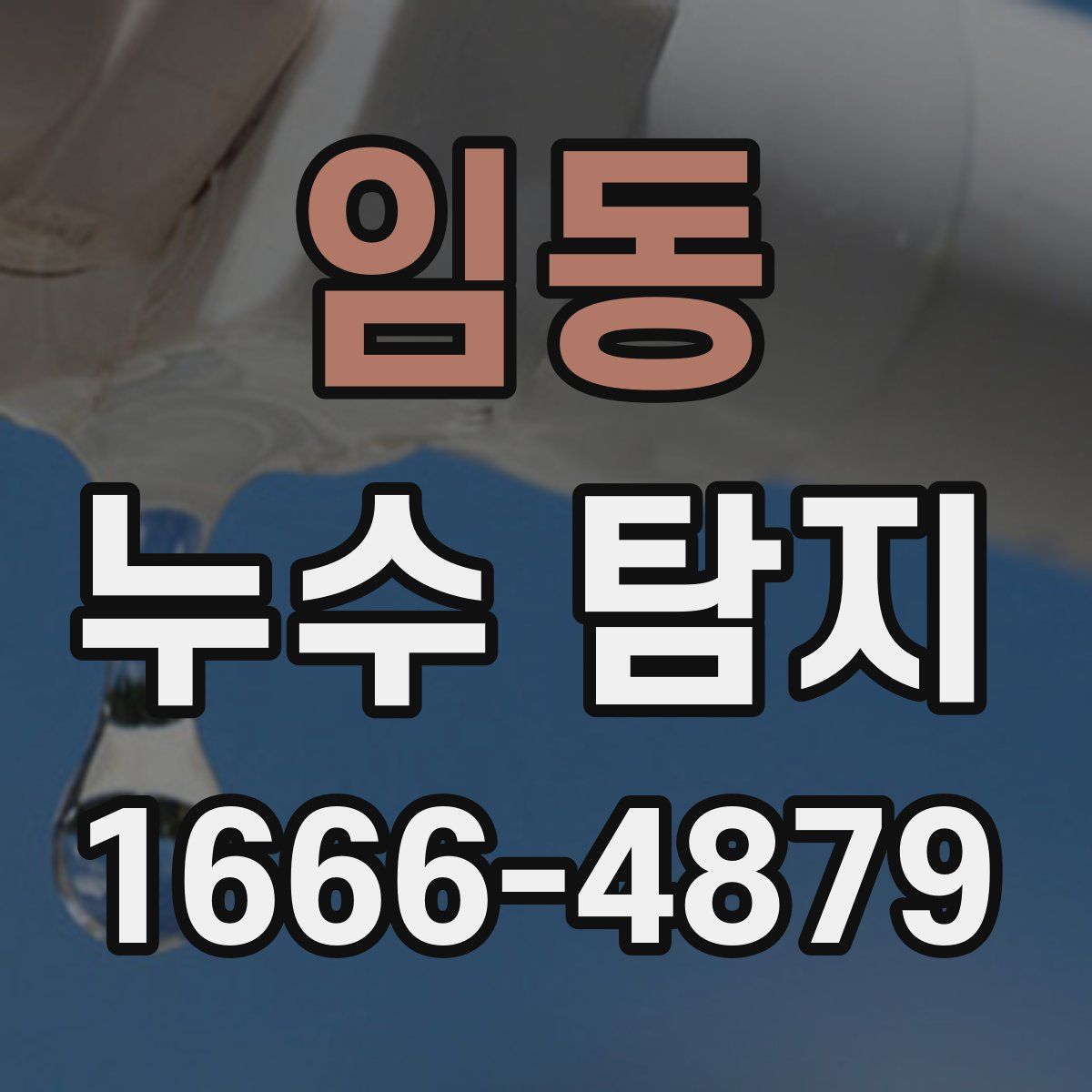 임동 누수 탐지