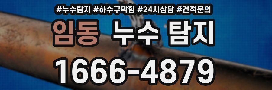 임동 누수 탐지
