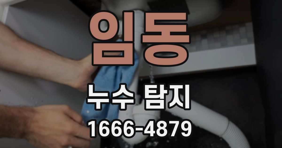 임동 누수 탐지