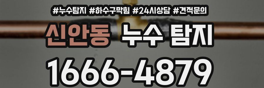 신안동 누수 탐지