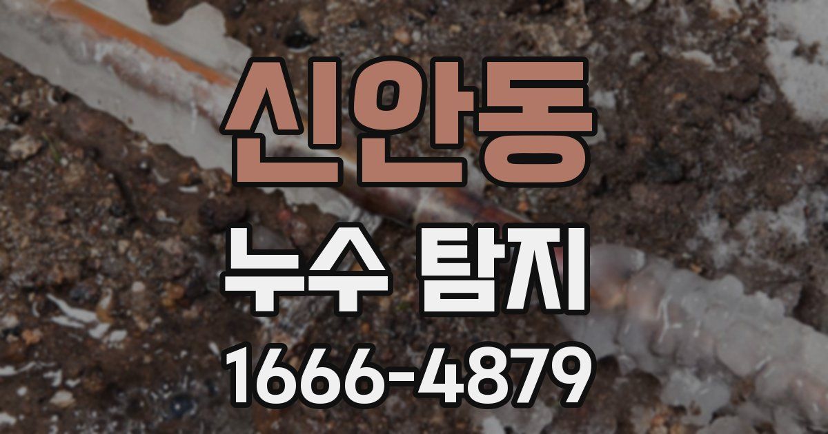 신안동 누수 탐지