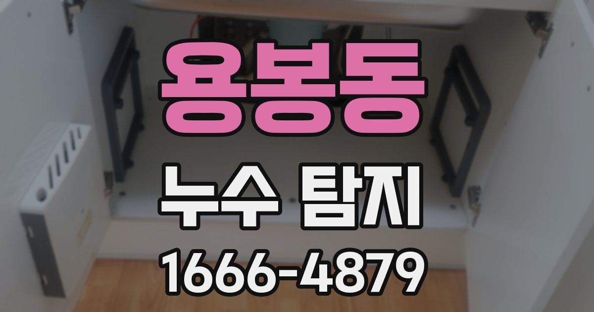 용봉동 누수 탐지