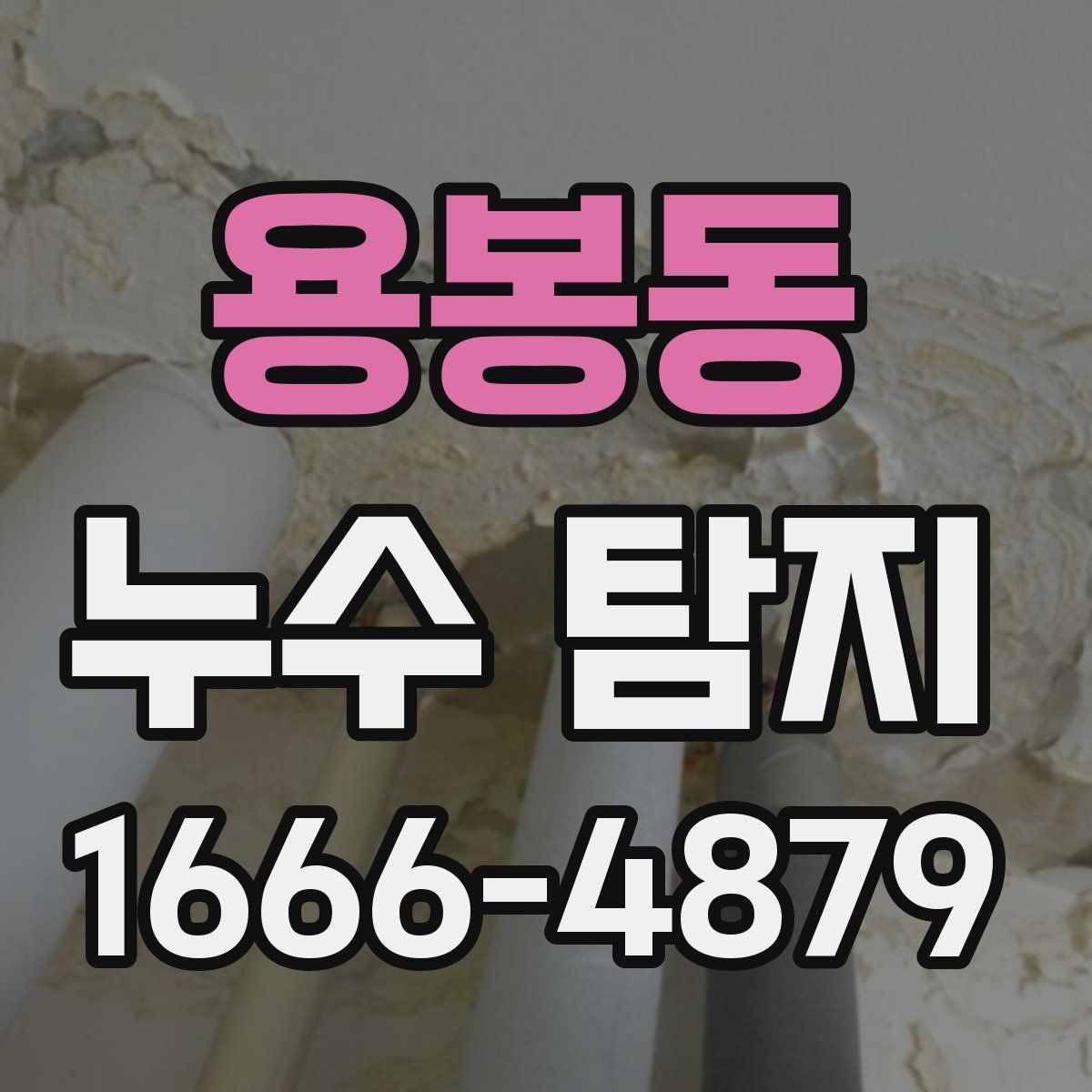 용봉동 누수 탐지