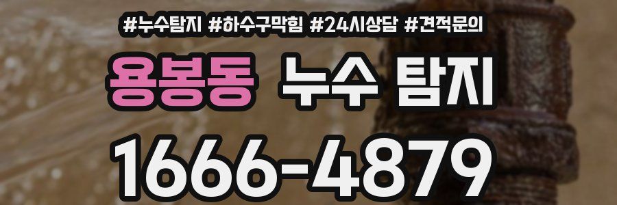 용봉동 누수 탐지