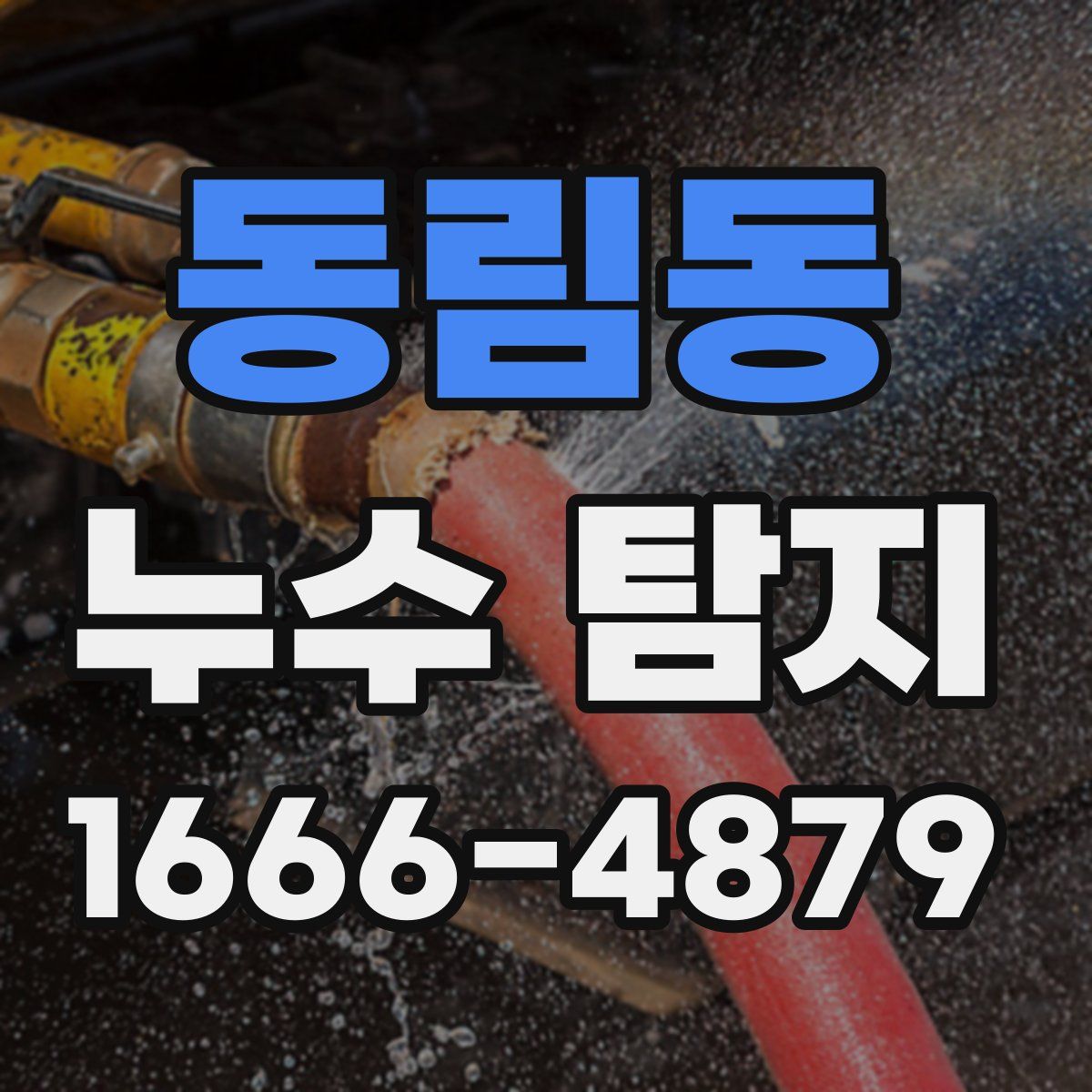 동림동 누수 탐지