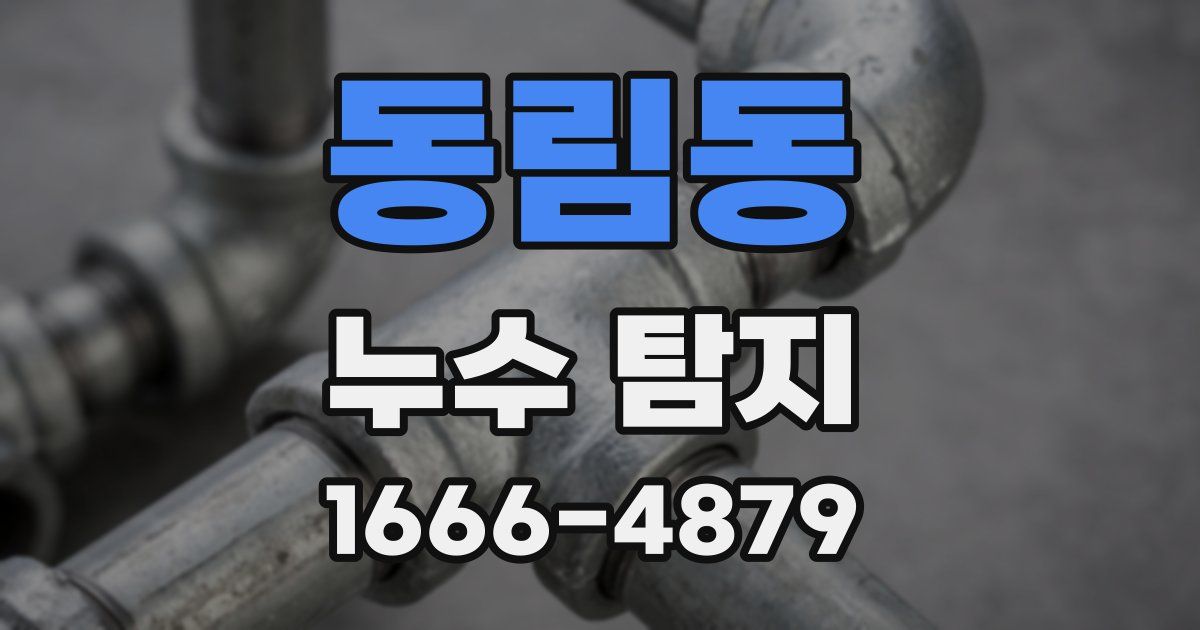 동림동 누수 탐지