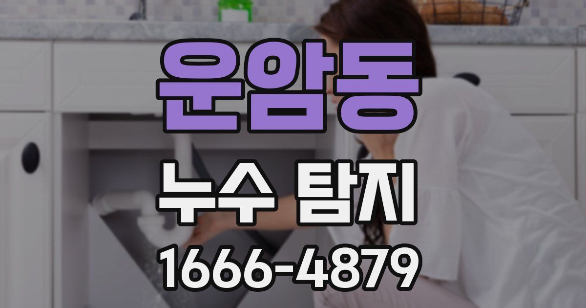 운암동 누수 탐지