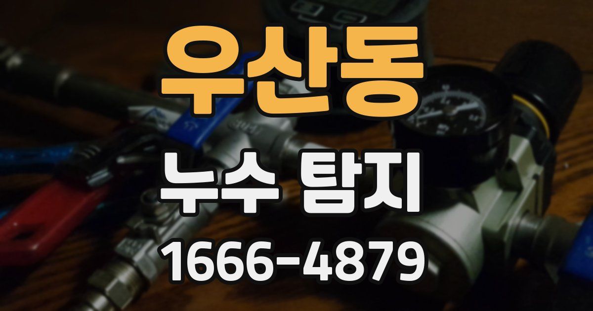 우산동 누수 탐지
