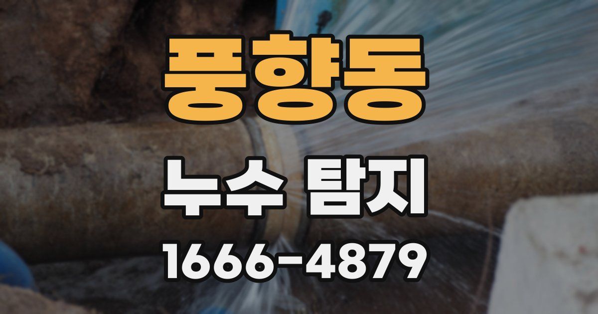 풍향동 누수 탐지