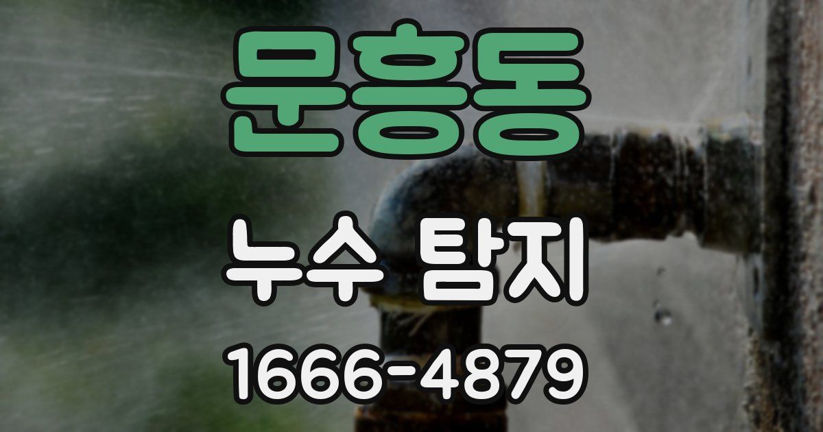 문흥동 누수 탐지