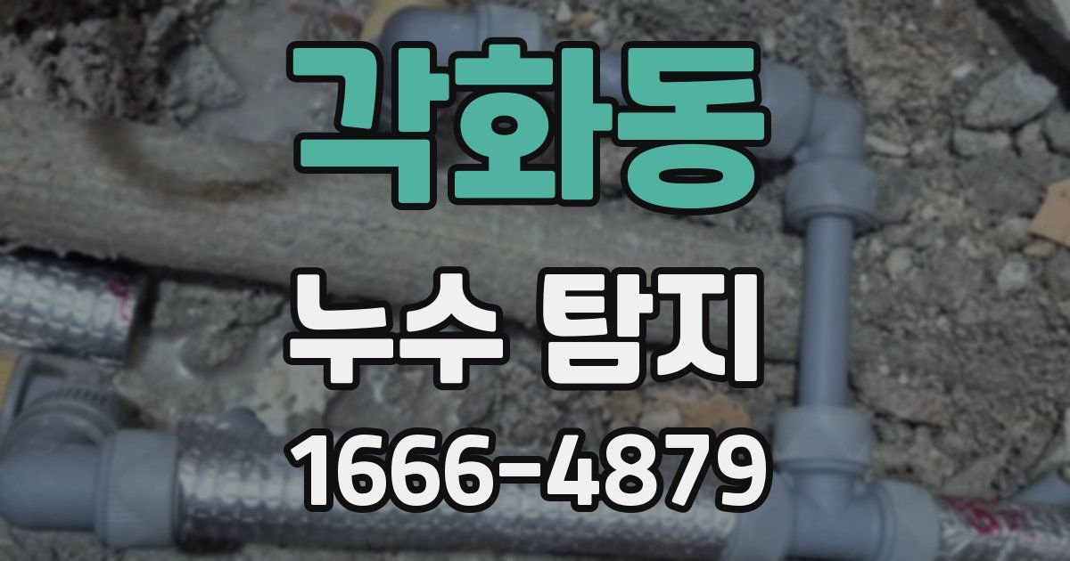 각화동 누수 탐지