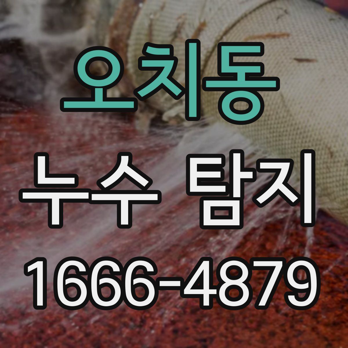 오치동 누수 탐지