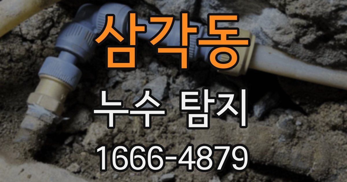 삼각동 누수 탐지