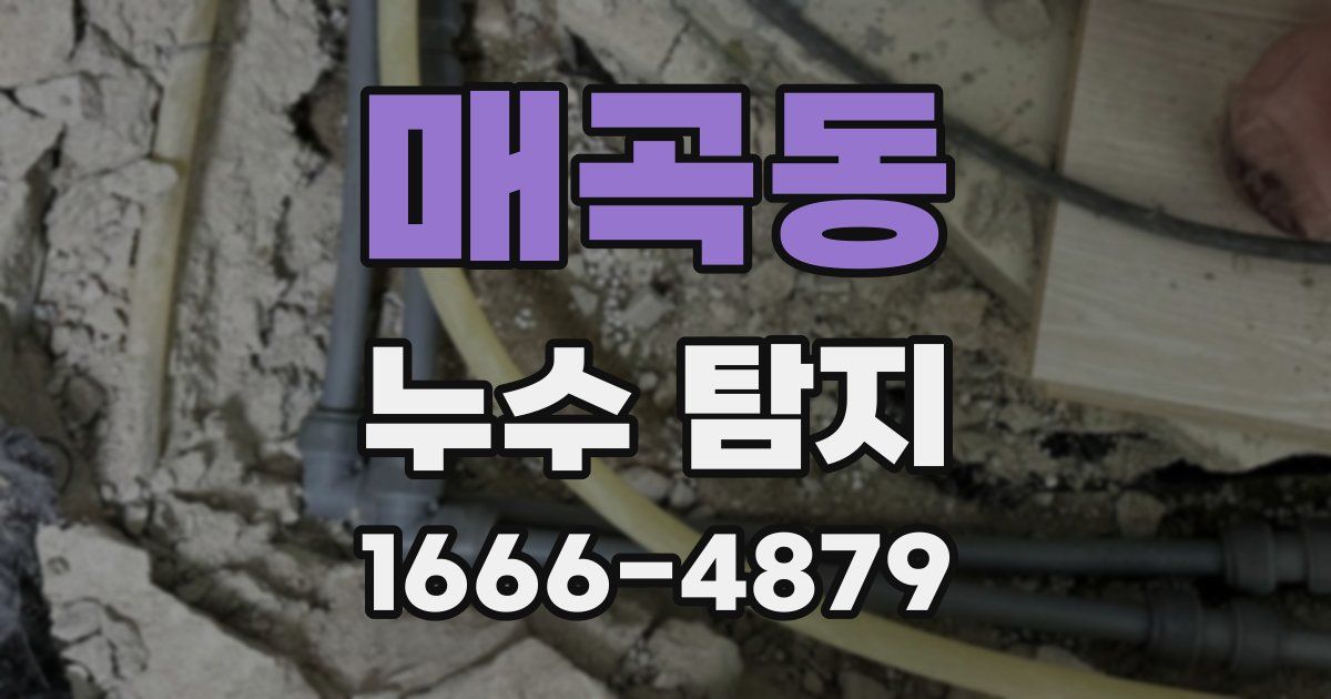 매곡동 누수 탐지