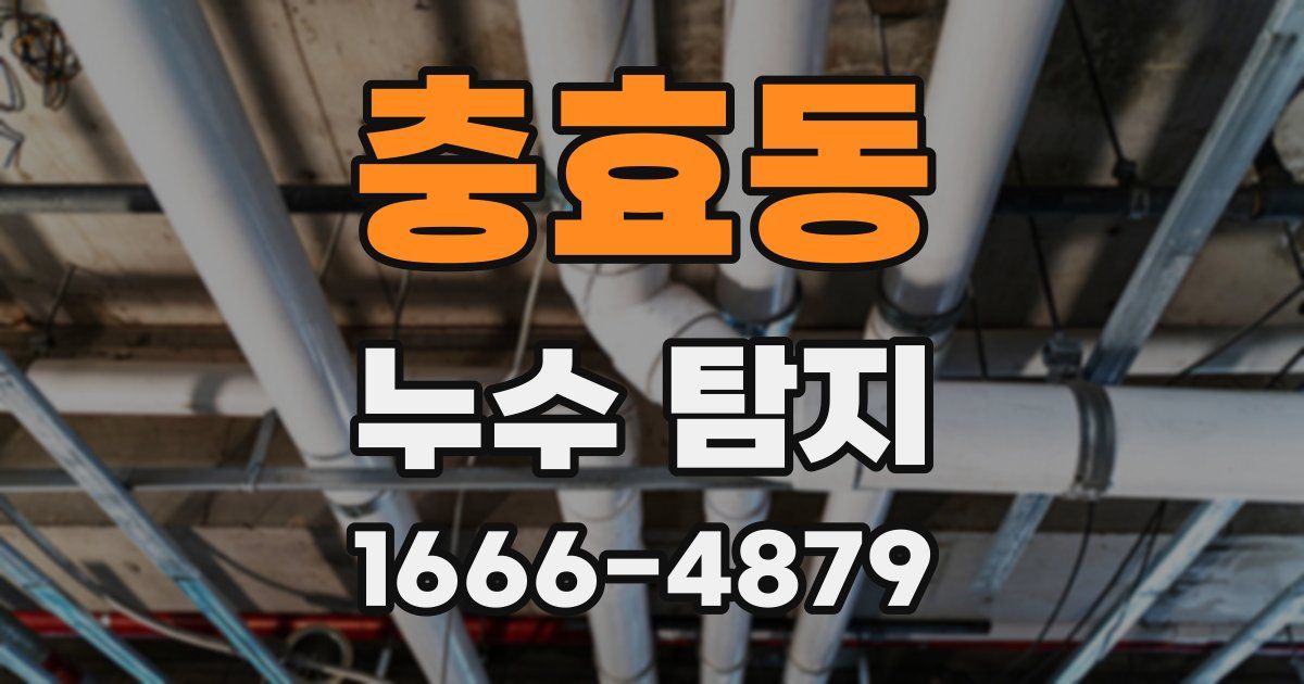 충효동 누수 탐지