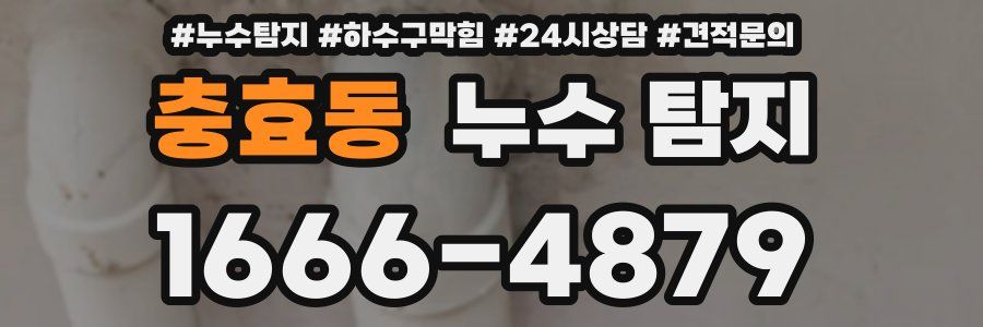 충효동 누수 탐지