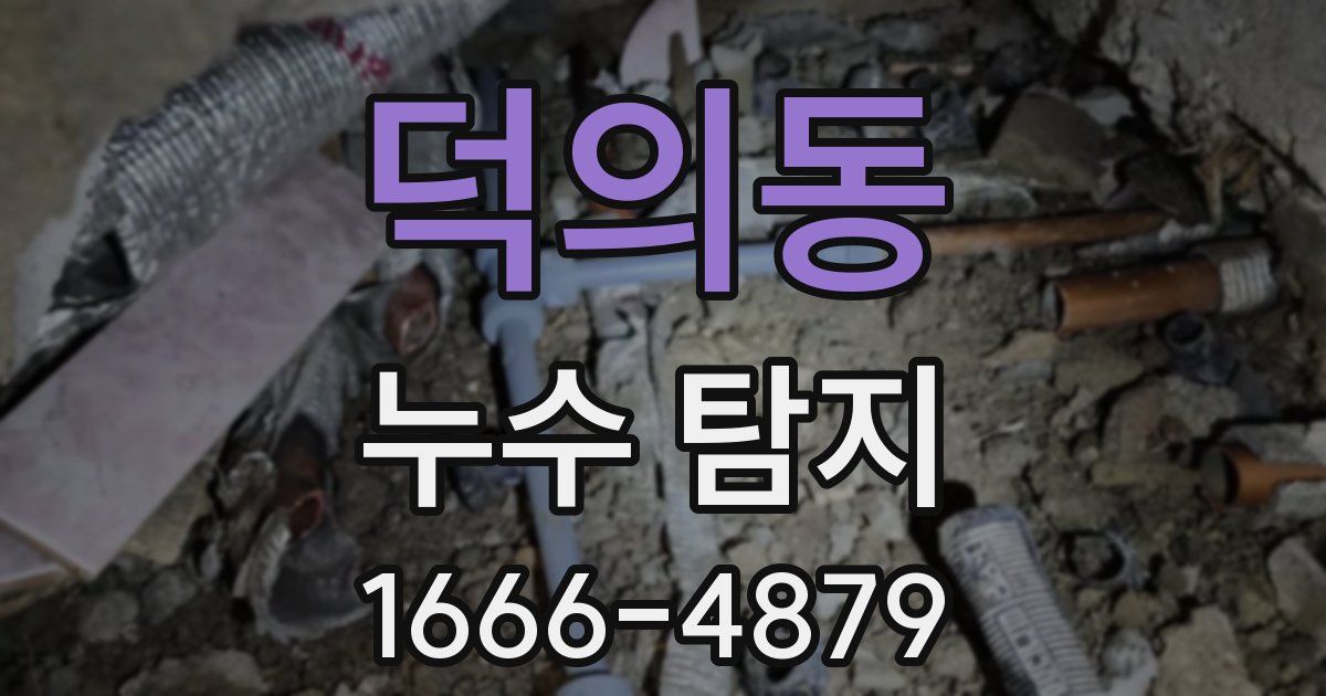 덕의동 누수 탐지