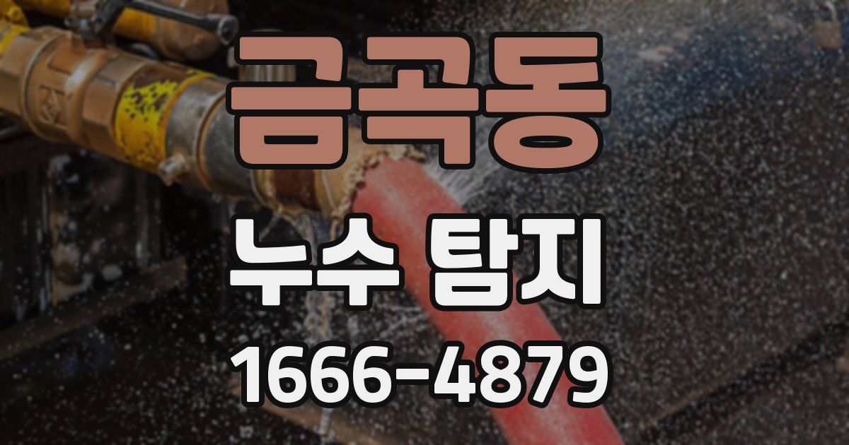 금곡동 누수 탐지