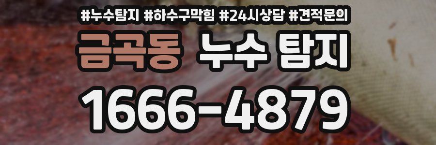 금곡동 누수 탐지
