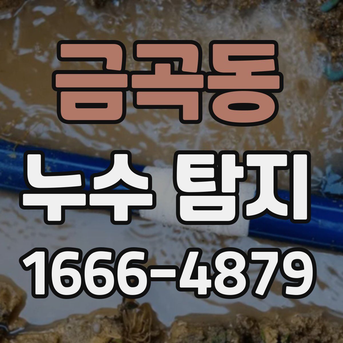 금곡동 누수 탐지