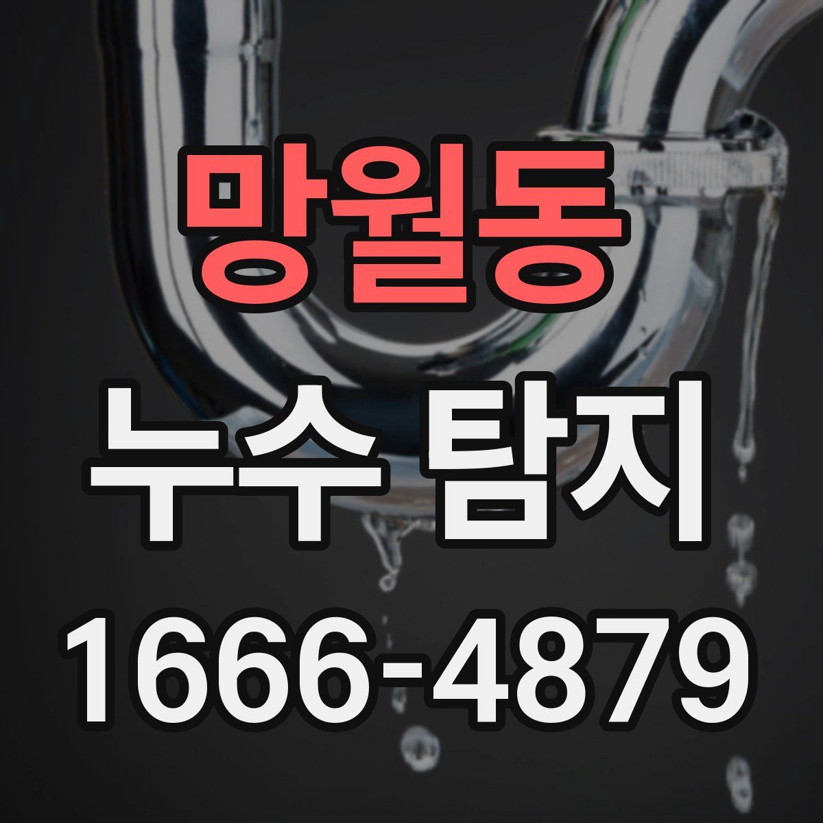 망월동 누수 탐지