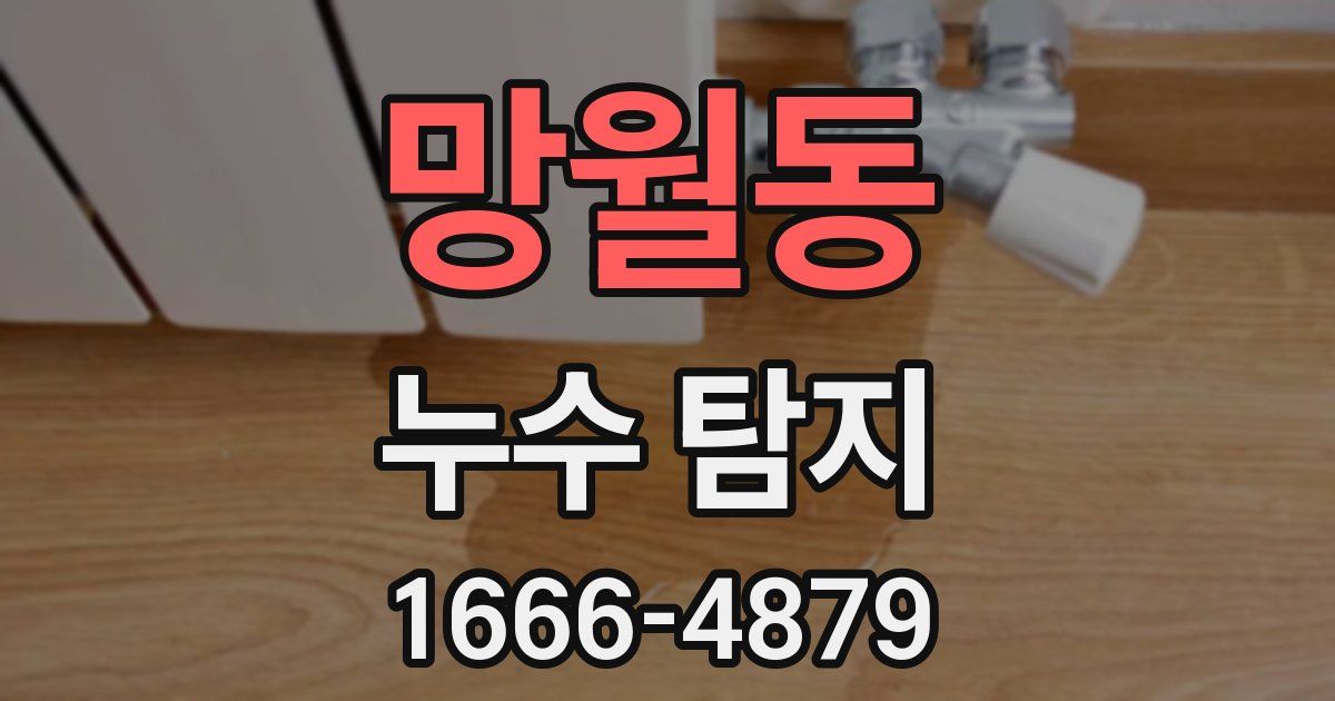 망월동 누수 탐지