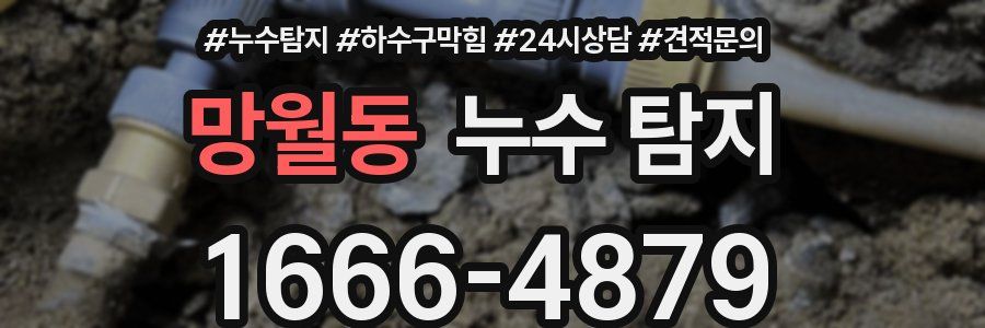망월동 누수 탐지