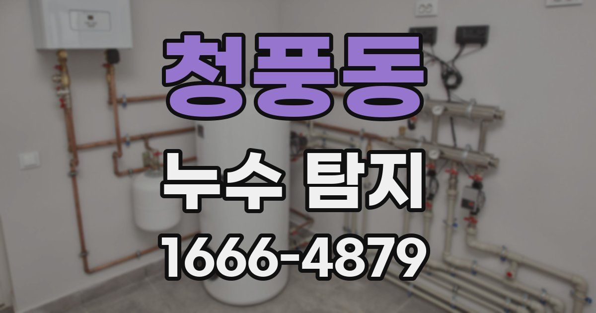 청풍동 누수 탐지
