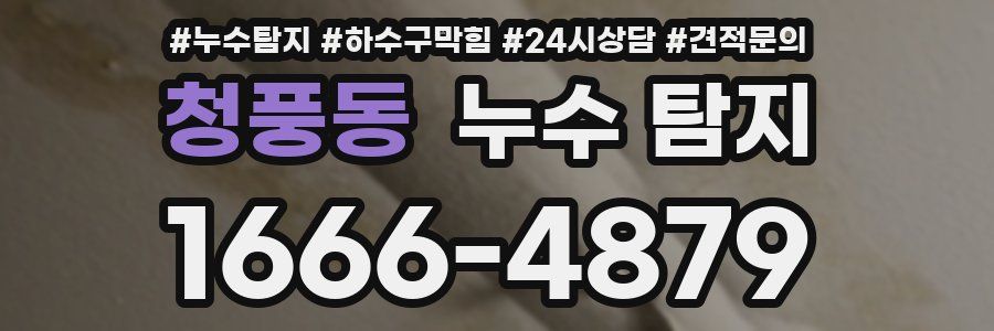 청풍동 누수 탐지