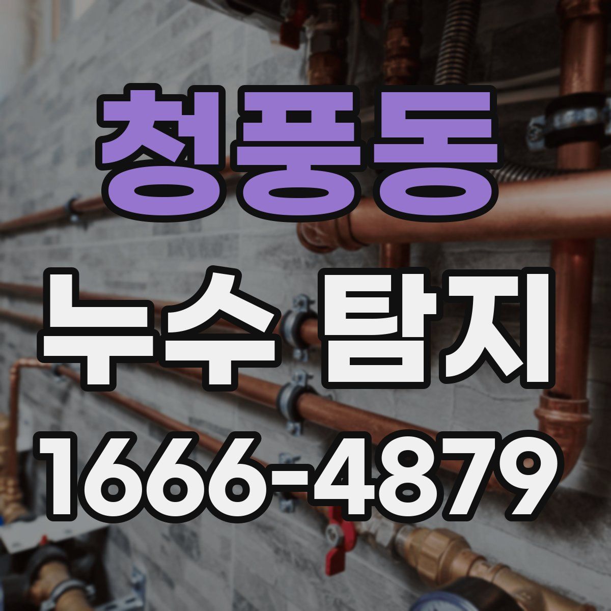 청풍동 누수 탐지