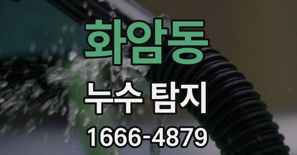 화암동 누수 탐지