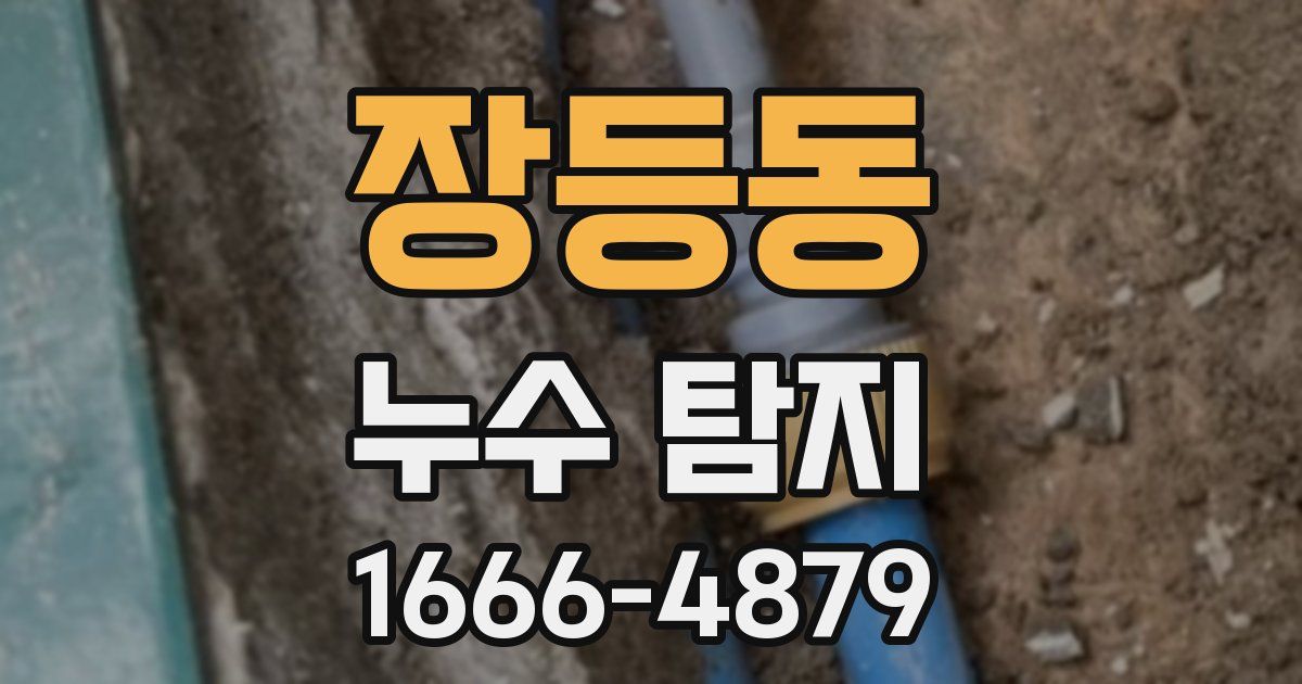 장등동 누수 탐지