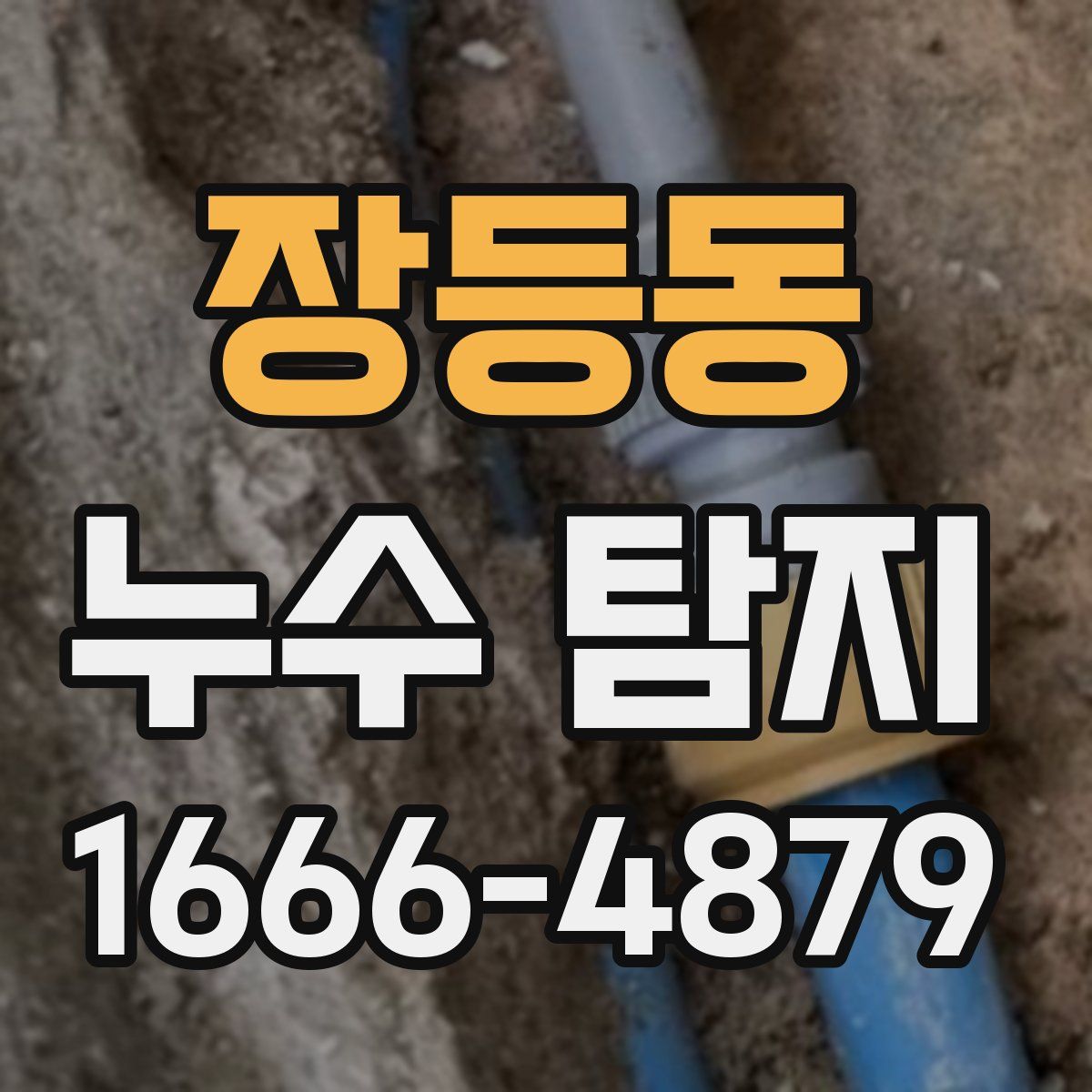 장등동 누수 탐지