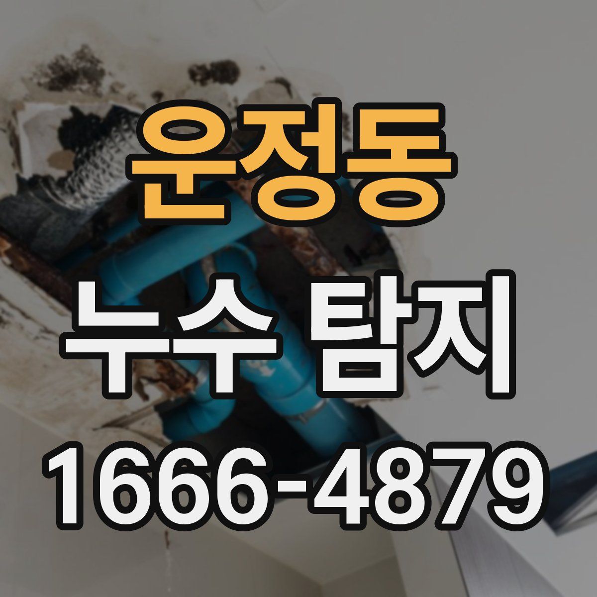 운정동 누수 탐지