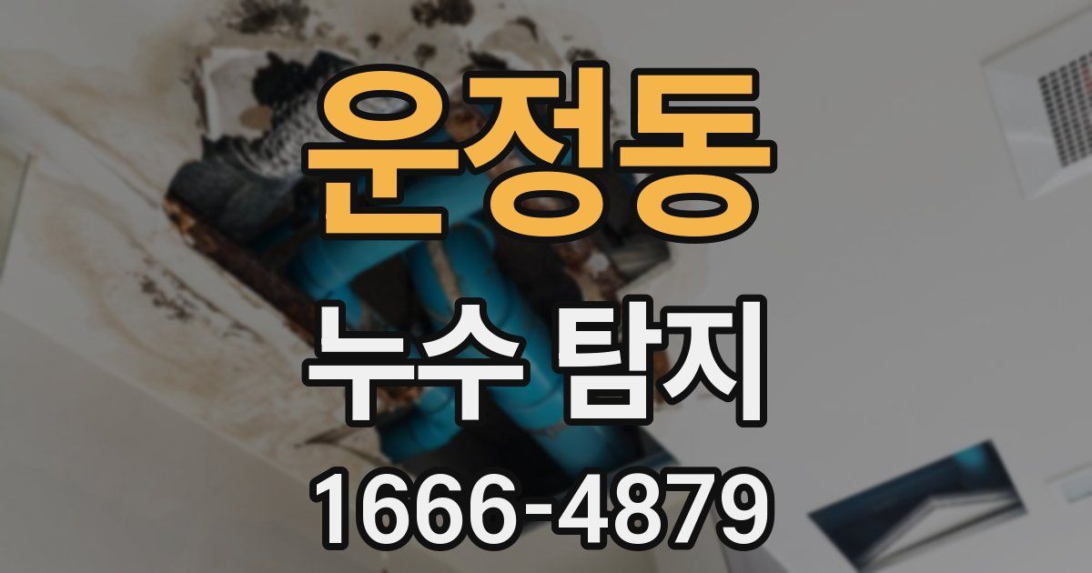 운정동 누수 탐지