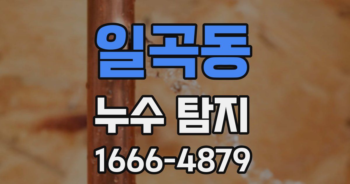 일곡동 누수 탐지