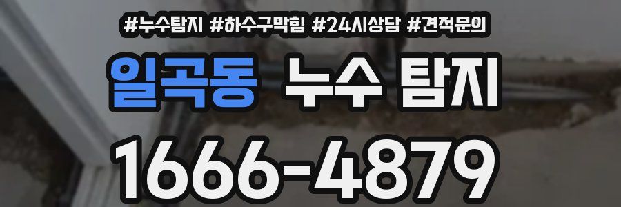 일곡동 누수 탐지