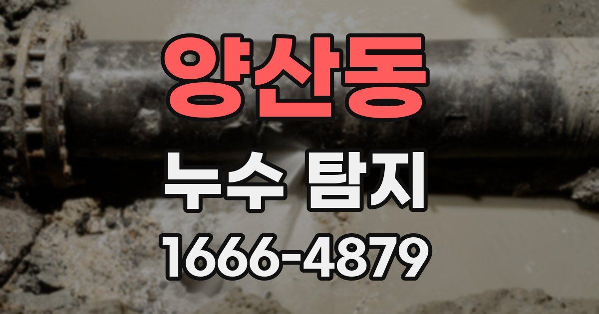 양산동 누수 탐지