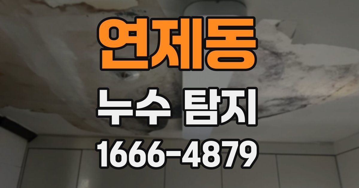 연제동 누수 탐지