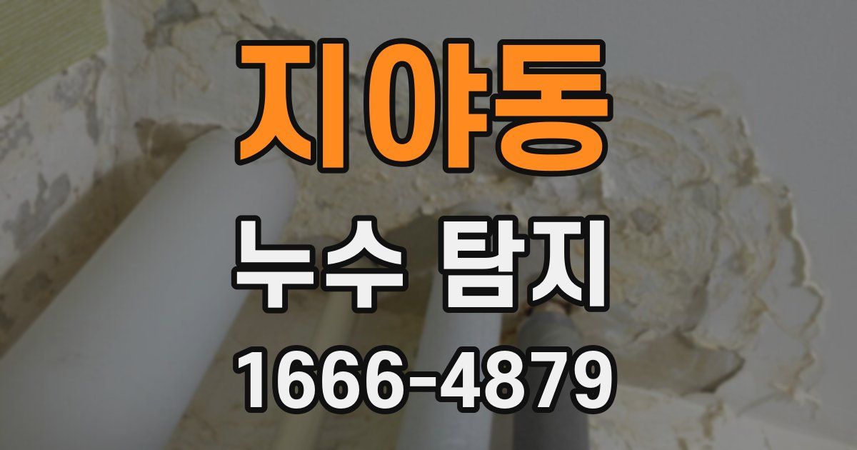 지야동 누수 탐지