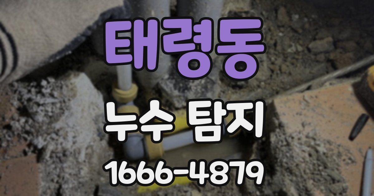 태령동 누수 탐지