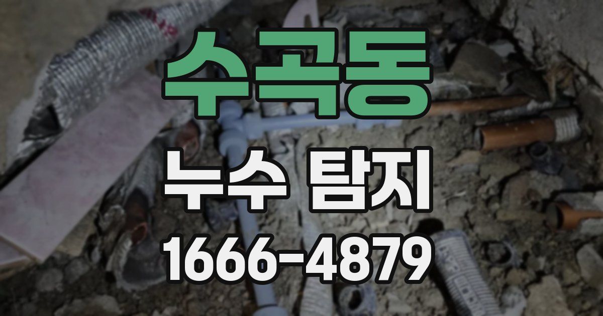 수곡동 누수 탐지