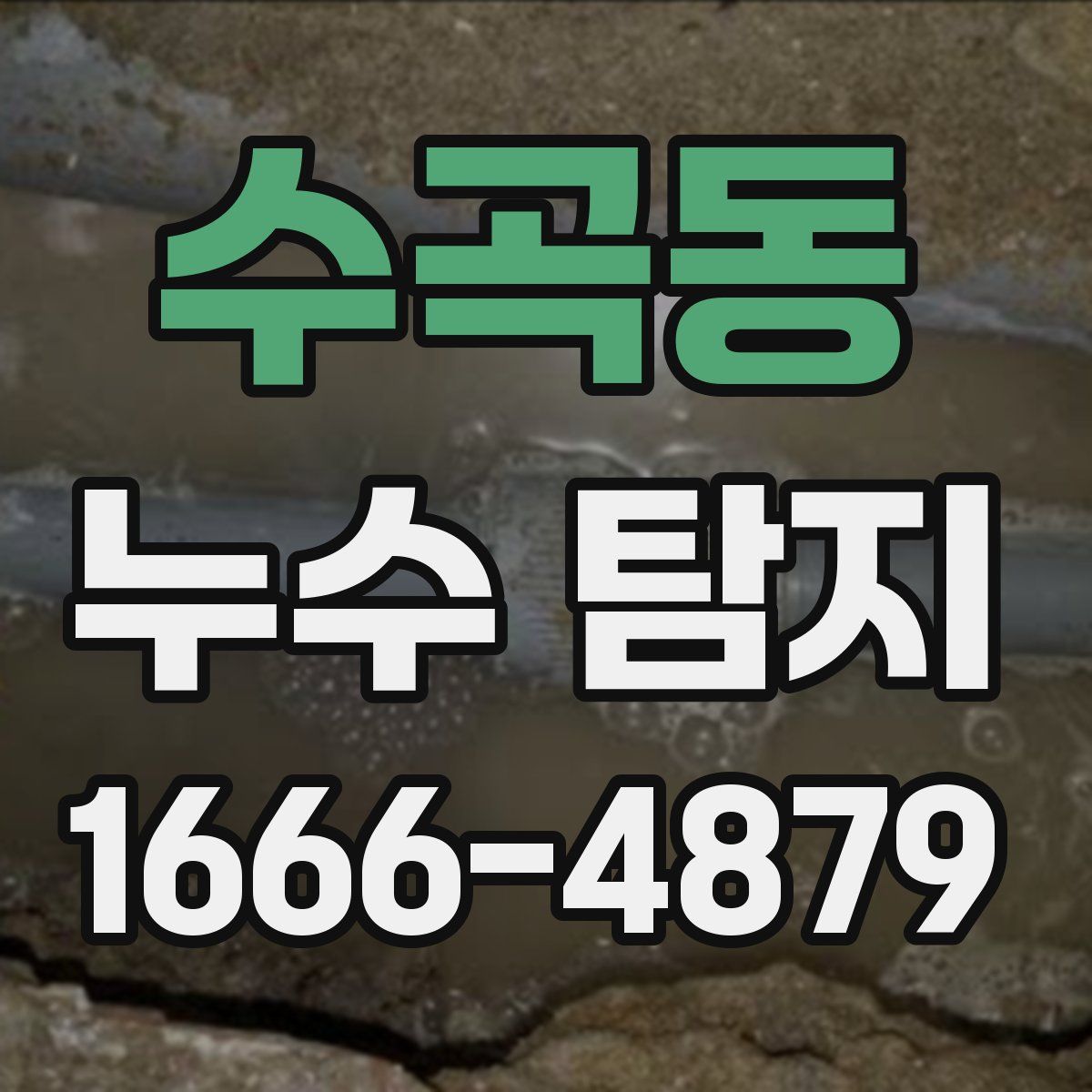 수곡동 누수 탐지