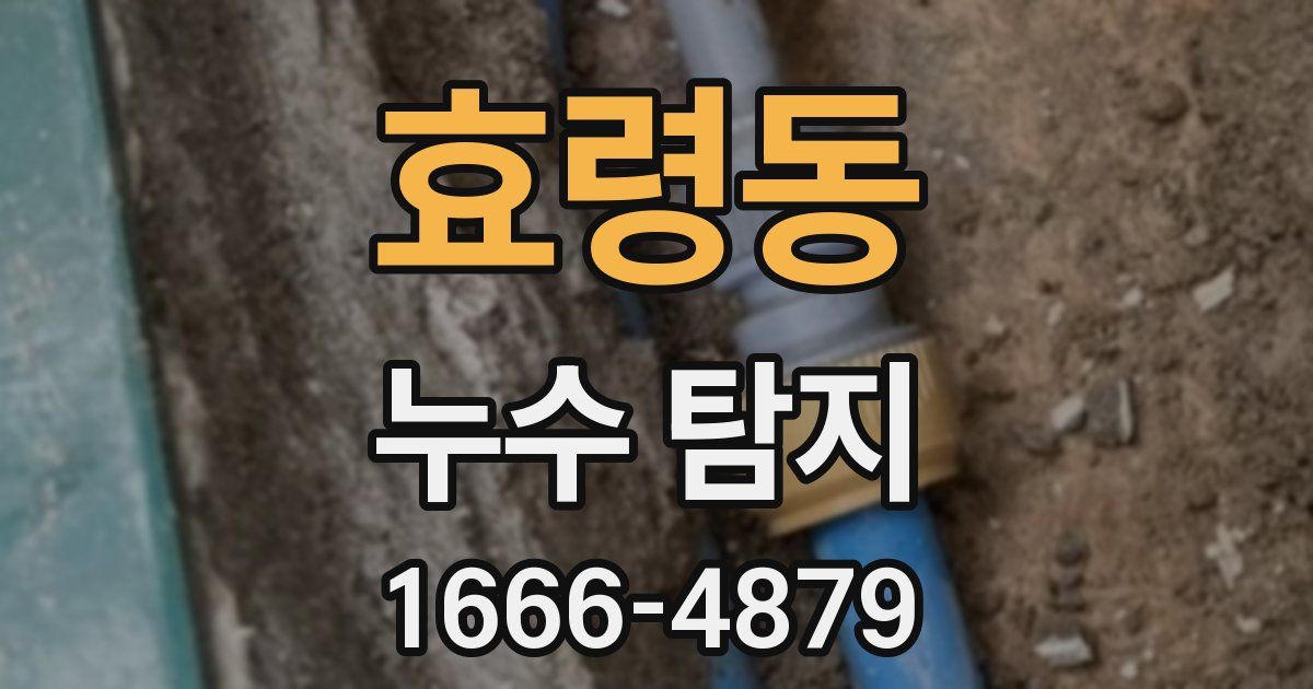 효령동 누수 탐지