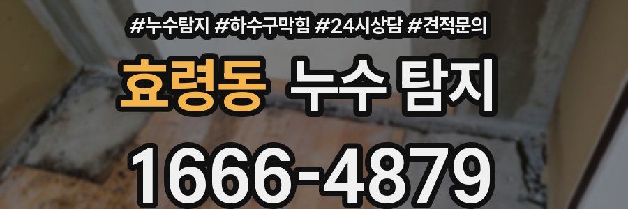 효령동 누수 탐지