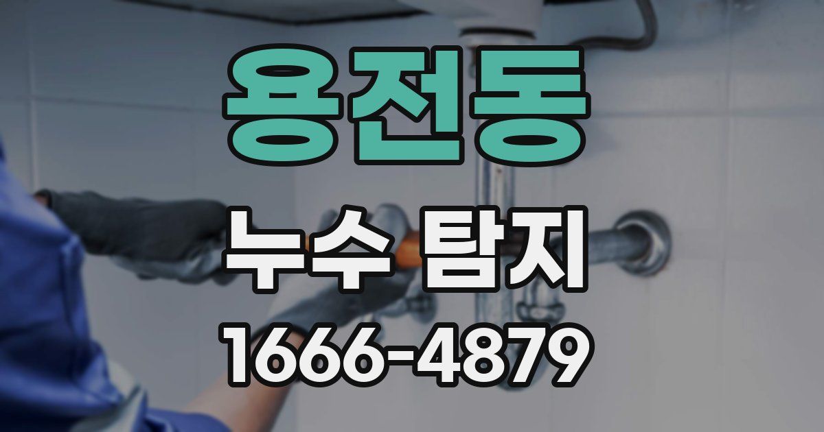 용전동 누수 탐지