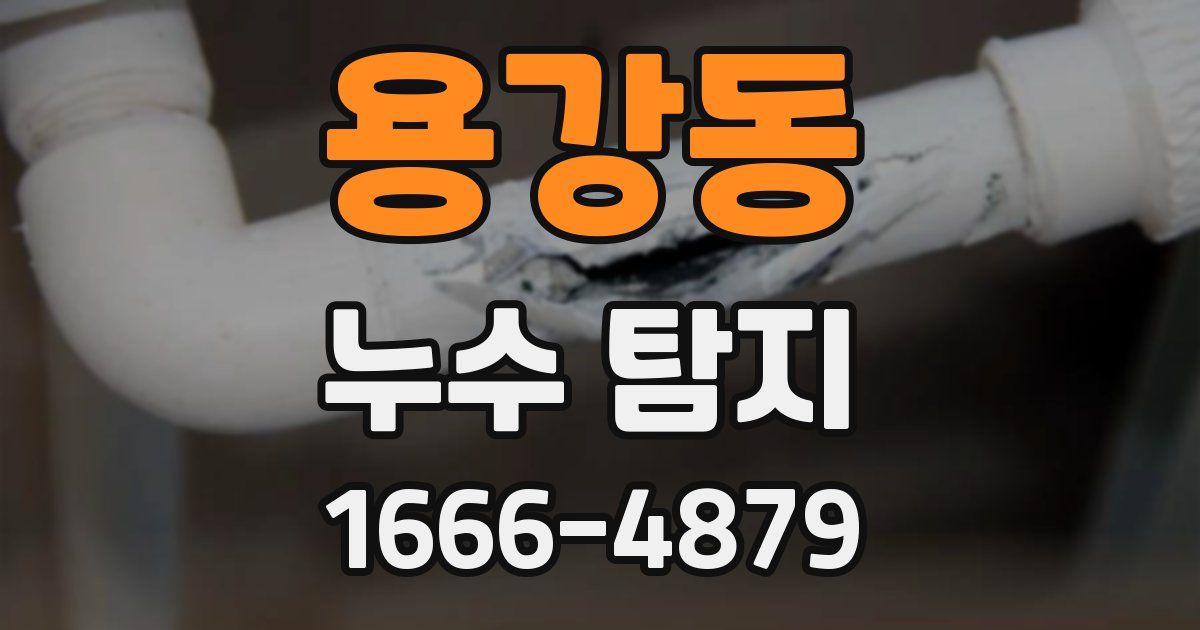 용강동 누수 탐지